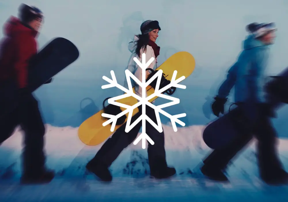 Snowflake Software training